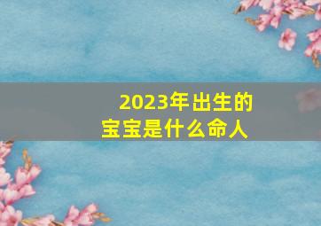 2023年出生的 宝宝是什么命人